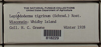 Image Associated With the Occurence